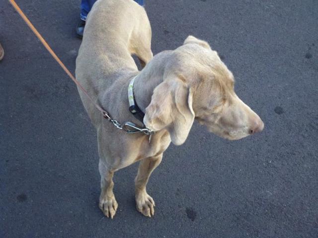 Annabelle taking in the sights